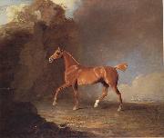 A Golden Chestnut Racehorse by a Rock Formation With a Town Beyond Benjamin Marshall